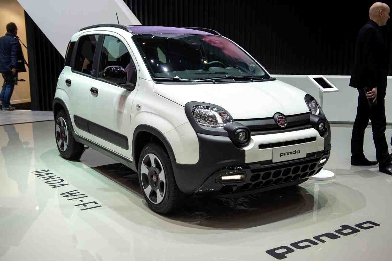 Fiat Panda against Tesla, it’s a challenge in the mud: what a race